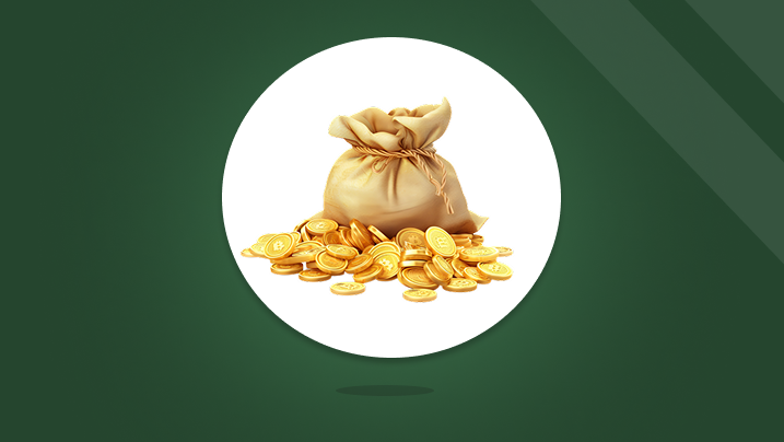 Loans